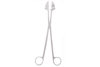 Product 42